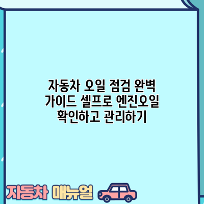 자동차 오일 점검 완벽 가이드: 셀프로 엔진오일 확인하고 관리하기