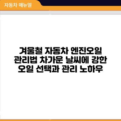 겨울철 자동차 엔진오일 관리법: 차가운 날씨에 강한 오일 선택과 관리 노하우