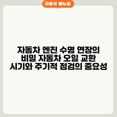 자동차 엔진 수명 연장의 비밀: 자동차 오일 교환 시기와 주기적 점검의 중요성