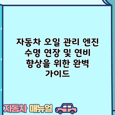 자동차 오일 관리: 엔진 수명 연장 및 연비 향상을 위한 완벽 가이드