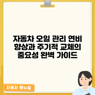 자동차 오일 관리: 연비 향상과 주기적 교체의 중요성 완벽 가이드