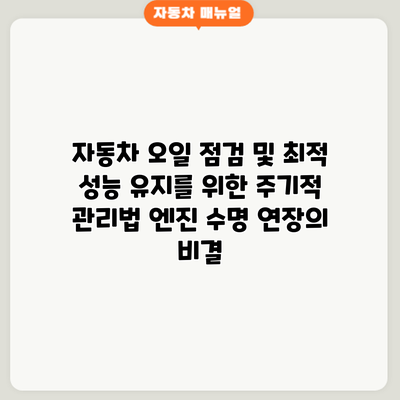 자동차 오일 점검 및 최적 성능 유지를 위한 주기적 관리법: 엔진 수명 연장의 비결