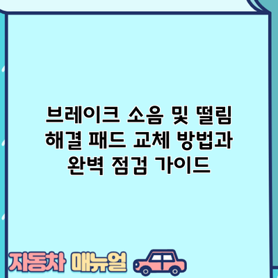 브레이크 소음 및 떨림 해결: 패드 교체 방법과 완벽 점검 가이드