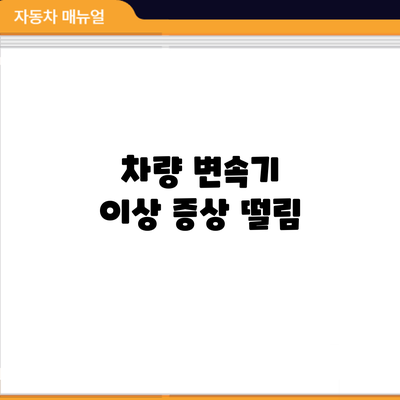 차량 변속기 이상 증상: 떨림