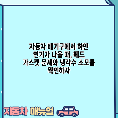 자동차 배기구에서 하얀 연기가 나올 때, 헤드 가스켓 문제와 냉각수 소모를 확인하자