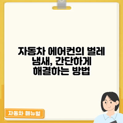 자동차 에어컨의 벌레 냄새, 간단하게 해결하는 방법