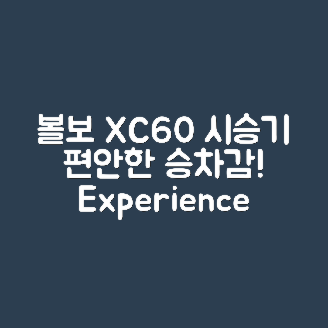 누구나 쉽게 느낄 수 있는 볼보 XC60 시승기 승차감 리뷰