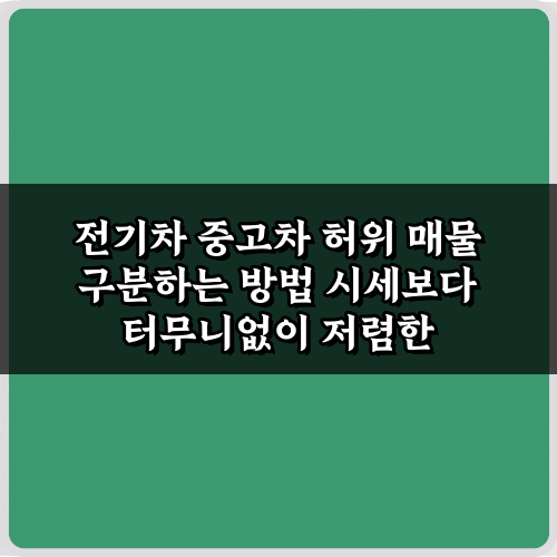 전기차 중고차 허위 매물 구분하는 5가지 비법